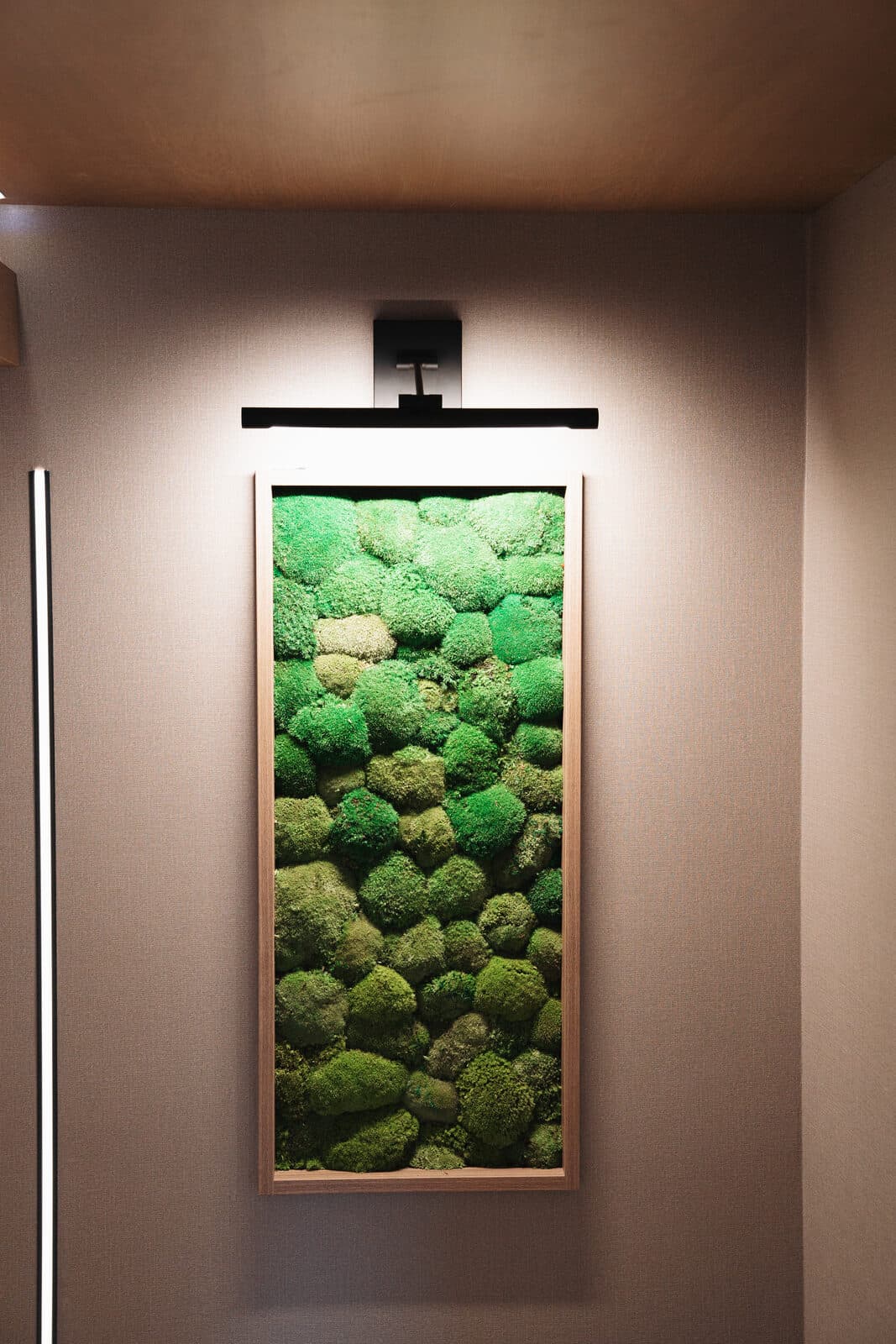 Preserved moss art panel detail on a dark wall