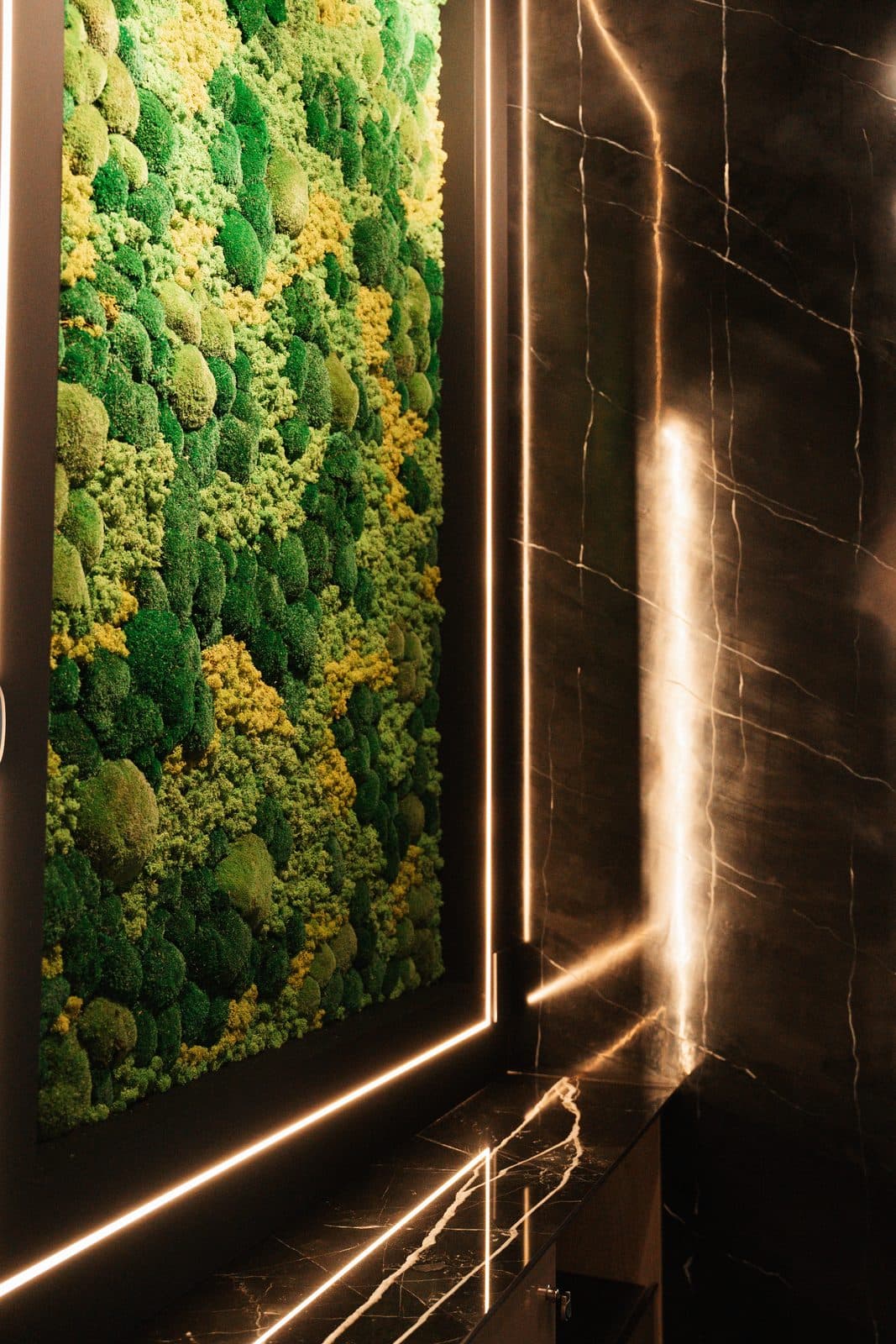 Backlit moss panel set into a dark wall as a living material display