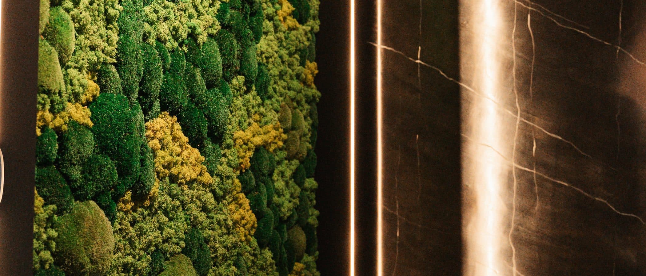 Backlit preserved moss panel set into a dark wall as a living material display